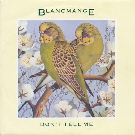 Blancmange - Don't Tell Me