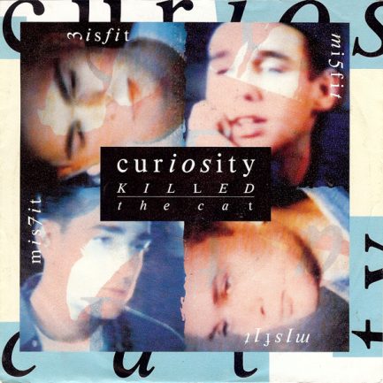 Curiosity Killed The Cat - Misfit