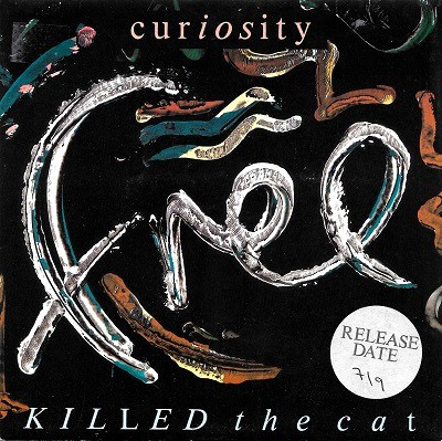 Curiosity Killed The Cat - Free