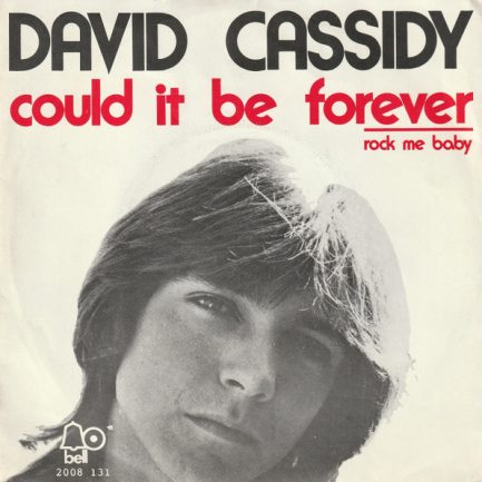David Cassidy - Could It Be Forever