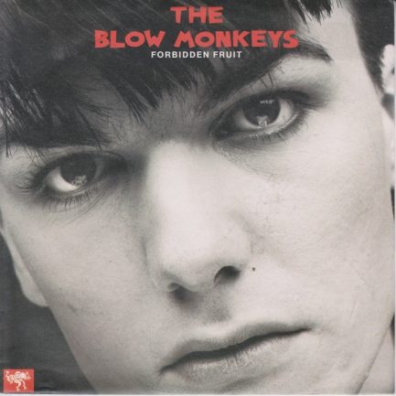 The Blow Monkeys - Forbidden Fruit