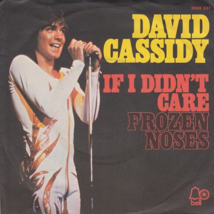 David Cassidy - If I Didn't Care