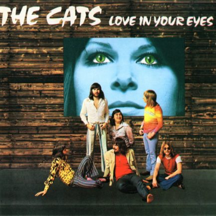 The Cats - Love In Your Eyes