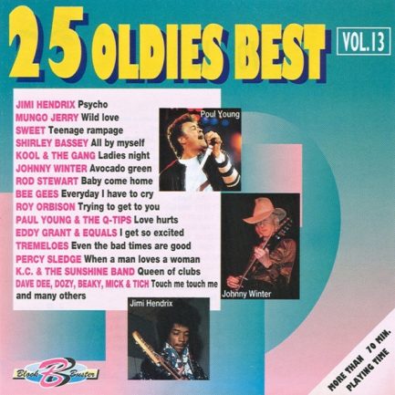 Various - 25 Oldies Best Vol. 13