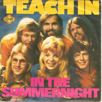 Teach In* - In The Summernight