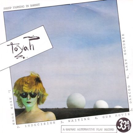 Toyah - Sheep Farming In Barnet