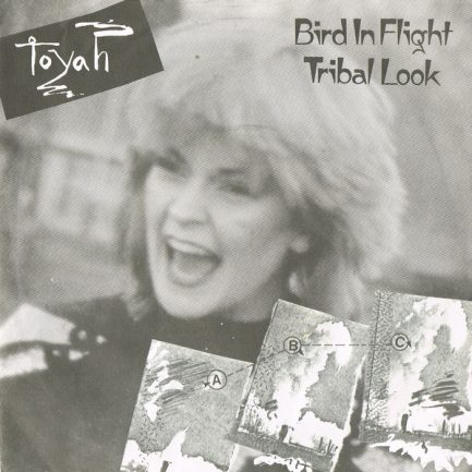 Toyah - Bird In Flight / Tribal Look