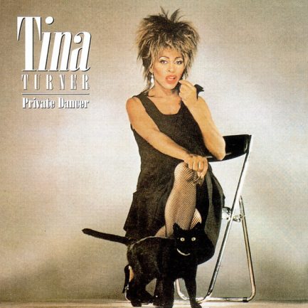 Tina Turner - Private Dancer