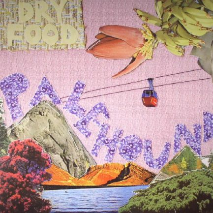 Palehound - Dry Food