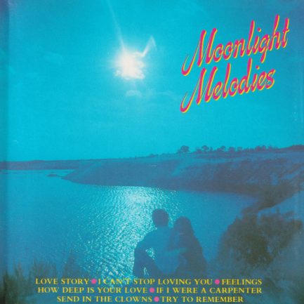 The Gino Marinello Orchestra - Moonlight Melodies