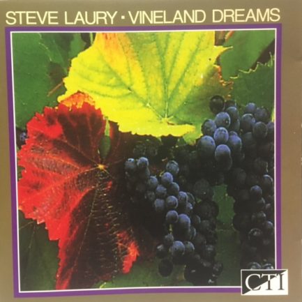 Steve Laury - Vineland Dreams