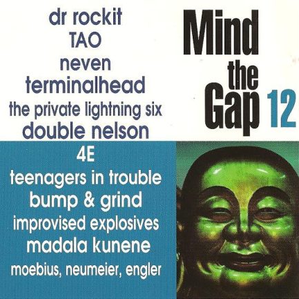 Various - Mind The Gap Volume 12