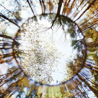 Martin Duffy - Assorted Promenades