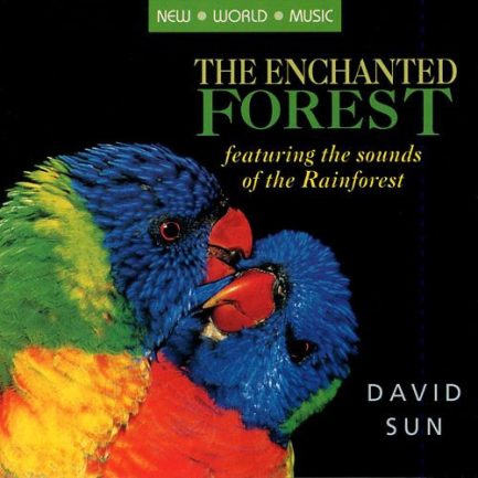 David Sun - The Enchanted Forest