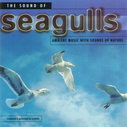 Levantis - The Sound Of Seagulls