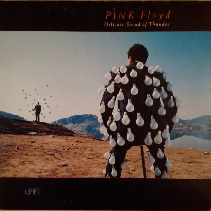 Pink Floyd - Delicate Sound Of Thunder