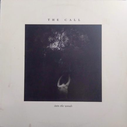 The Call - Into The Woods