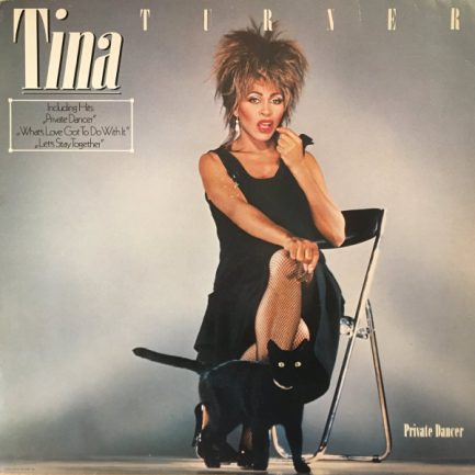 Tina Turner - Private Dancer