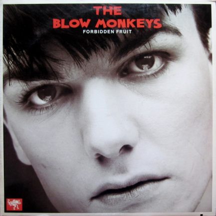 The Blow Monkeys - Forbidden Fruit