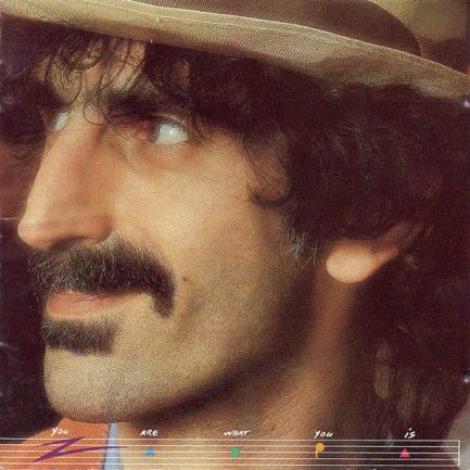 Zappa - You Are What You Is