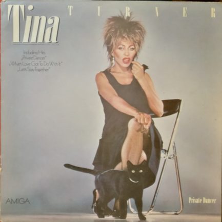 Tina Turner - Private Dancer