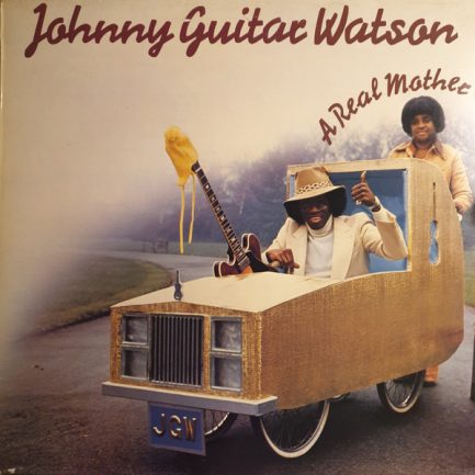 Johnny Guitar Watson - A Real Mother