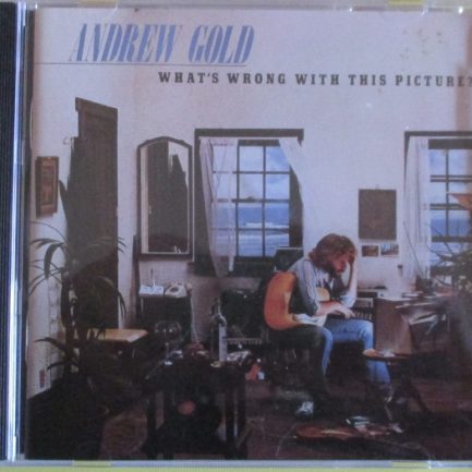 Andrew Gold - What's Wrong With This Picture?