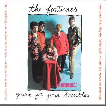 The Fortunes - You've Got Your Troubles